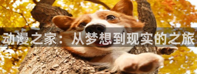 里番动漫免费下载