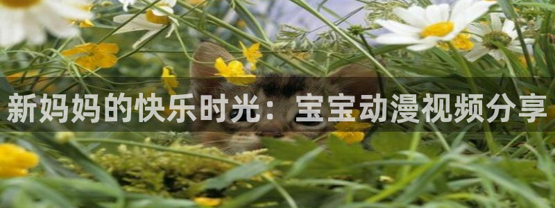 免费里番动漫网站