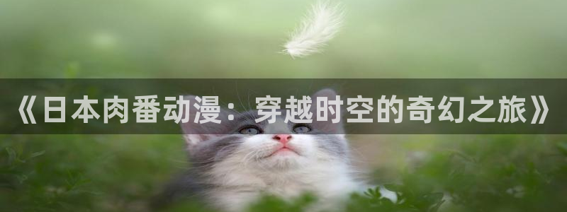 在线里番动漫网