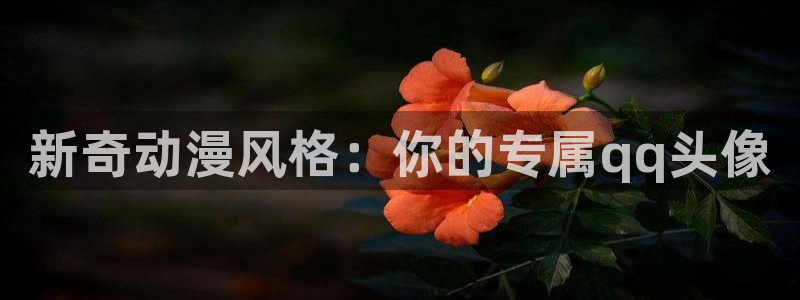 3d 里番动漫在线观看